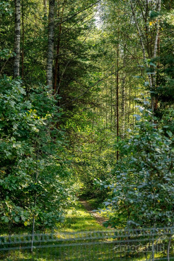 Šviesus Ir Kokybiškai Įrengtas Dvibutis Šalia - nuotraukos Nr. 49