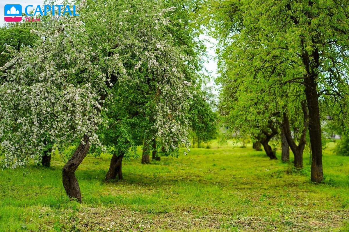 Parduodama unikali sodyba - buvusio - nuotraukos Nr. 11