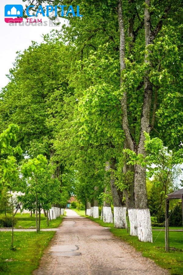 Parduodama unikali sodyba - buvusio - nuotraukos Nr. 16
