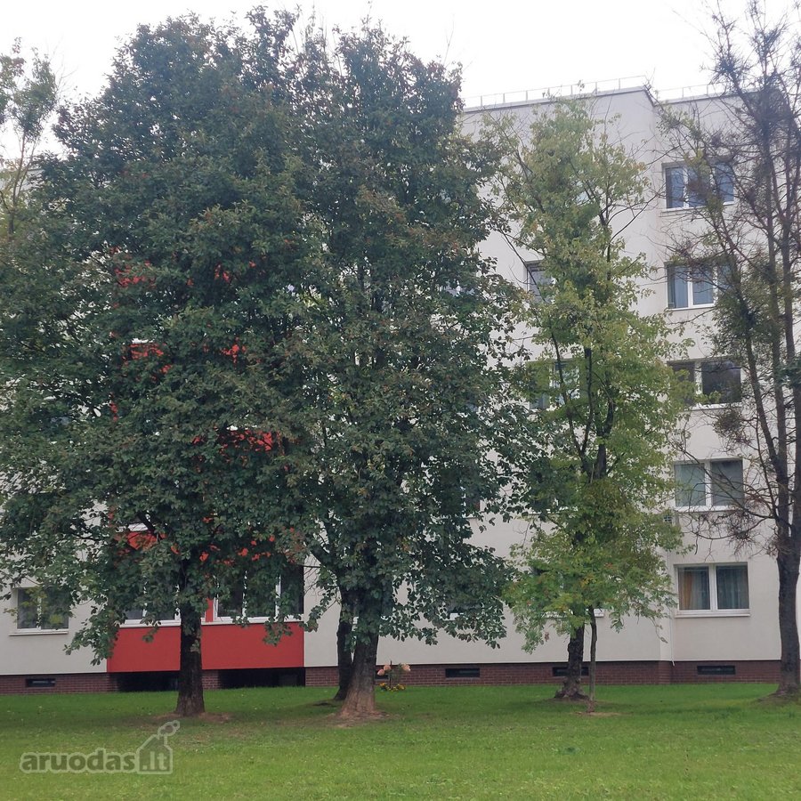 Butas Po Naujai Įrengtas, Geras Susisekimas - nuotraukos Nr. 28