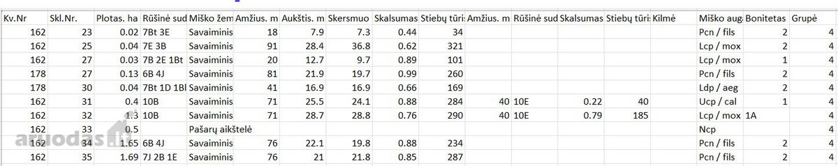 Parduodami du besiribojantys miškai Raseinių raj. - nuotraukos Nr. 2