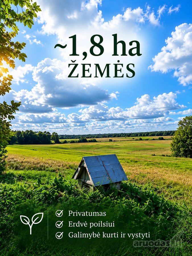 Parduodama / keičiama autentiška Sodyba su ~1 - nuotraukos Nr. 4