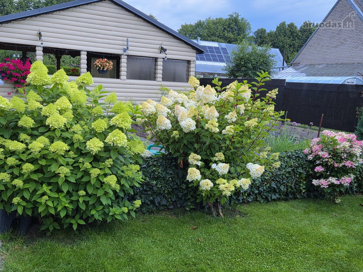 Parduodamas mūrinis, erdvus (5 kambarių) - nuotraukos Nr. 15