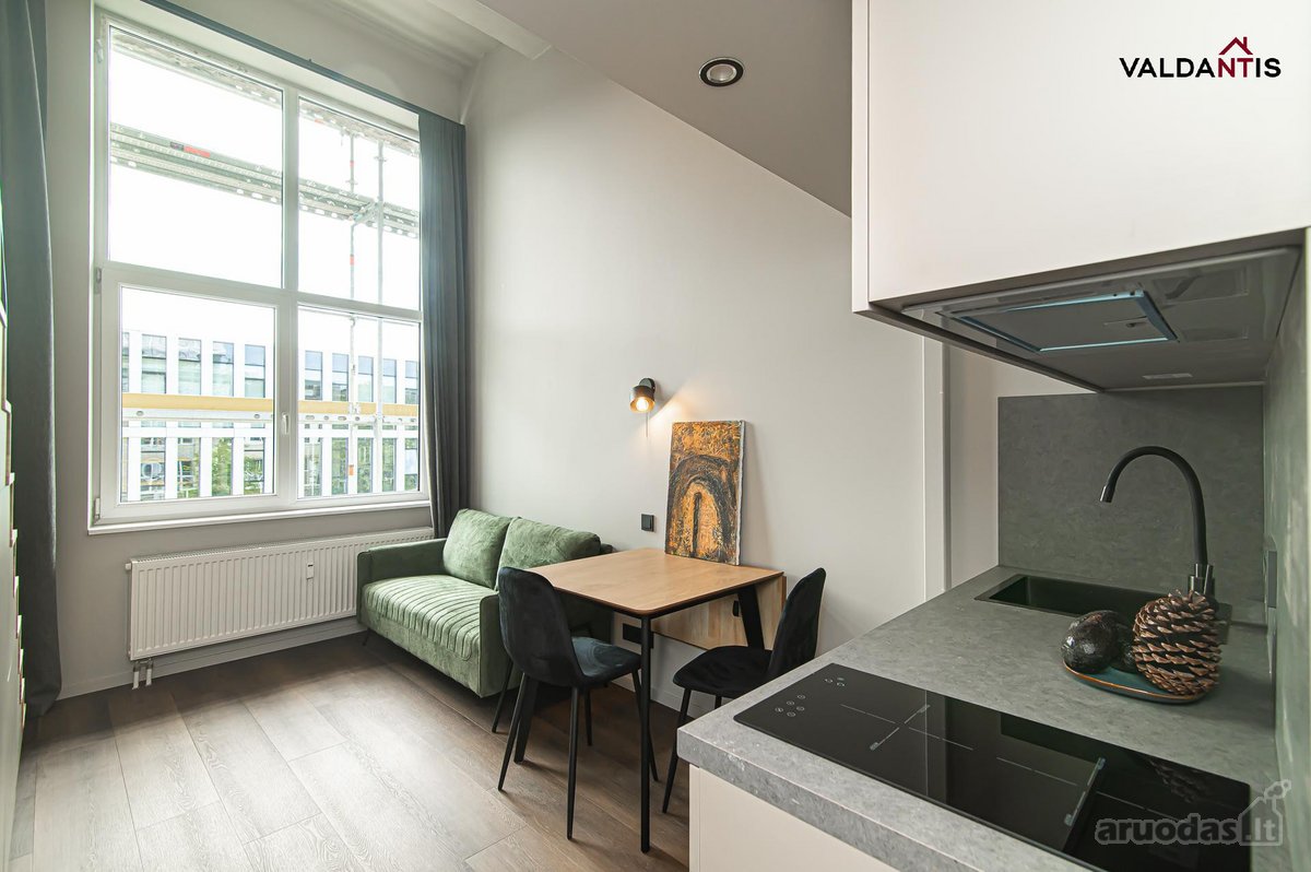 Isnuomojamas Loftas Naujamiestyje - nuotraukos Nr. 5