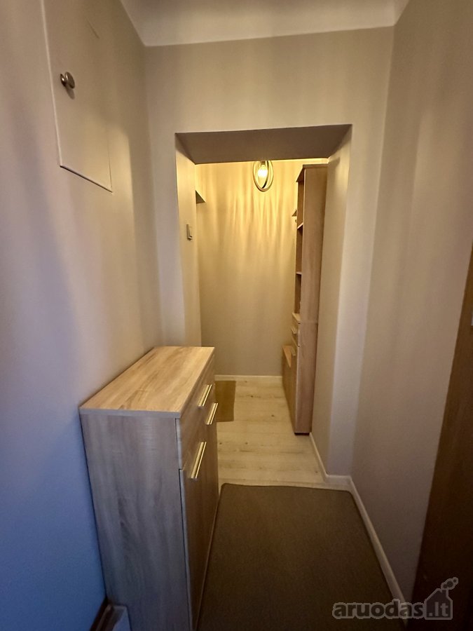 Naujai įrengtas butas renovuotame name - nuotraukos Nr. 12