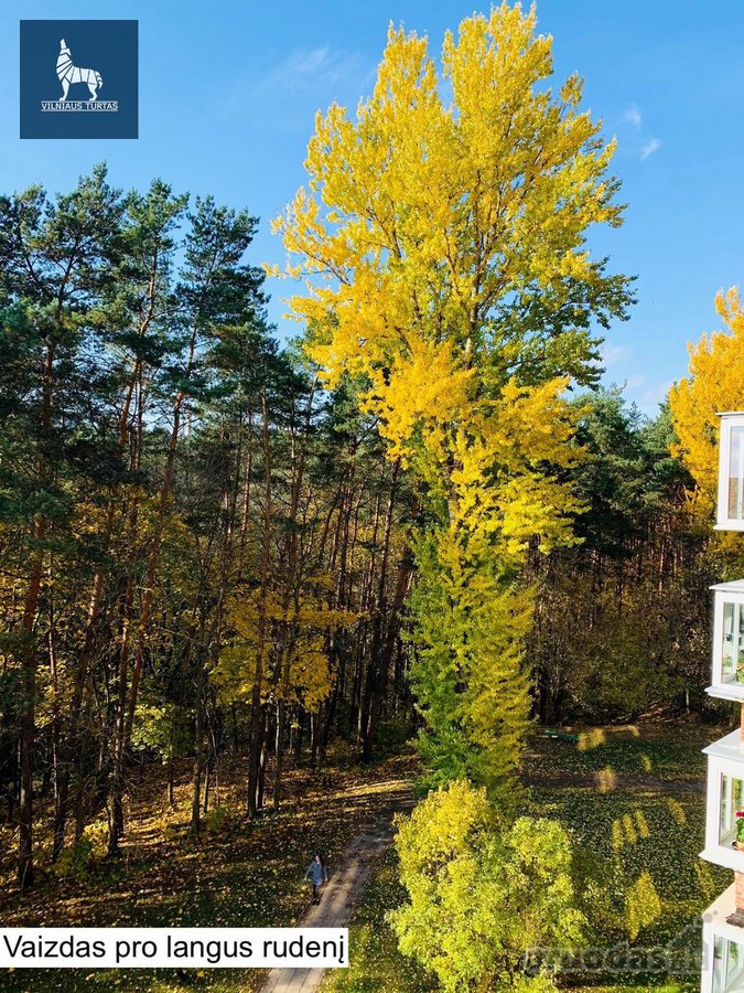 Parduodamas 3 Kambarių Butas Šalia Jomanto Parko - nuotraukos Nr. 5