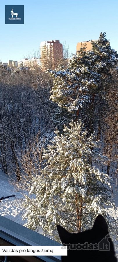 Parduodamas 3 Kambarių Butas Šalia Jomanto Parko - nuotraukos Nr. 27