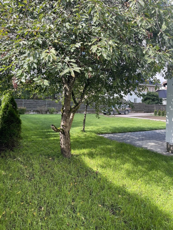 Nuomojamas dviejų aukštų namas šalia Vilniaus - nuotraukos Nr. 14