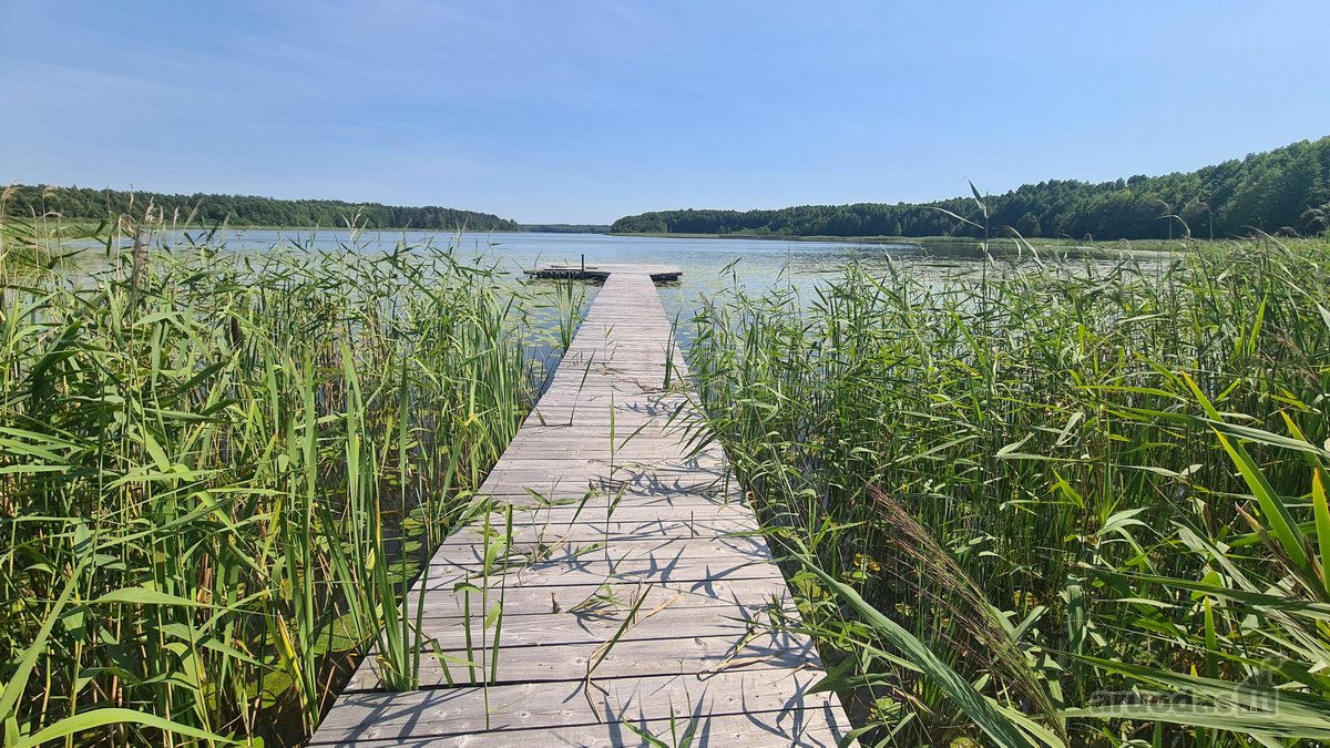 Parduodamas 2,66 ha sklypas prie Lieluko - nuotraukos Nr. 2