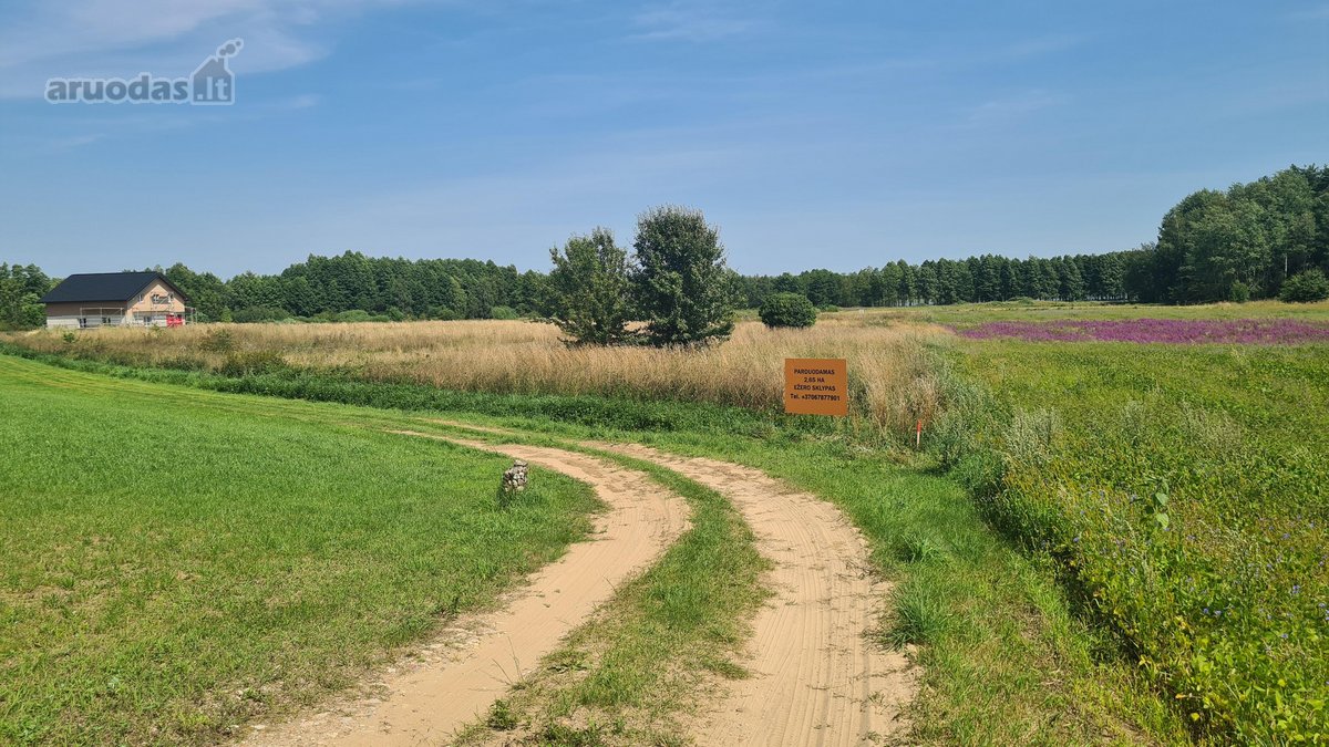 Parduodamas 2,66 ha sklypas prie Lieluko - nuotraukos Nr. 7