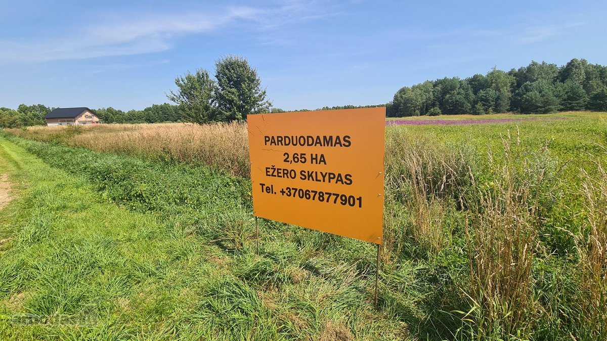 Parduodamas 2,66 ha sklypas prie Lieluko - nuotraukos Nr. 8