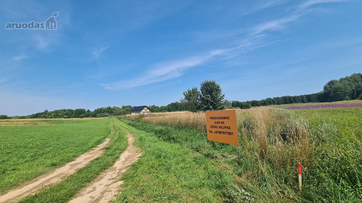 Parduodamas 2,66 ha sklypas prie Lieluko - nuotraukos Nr. 9