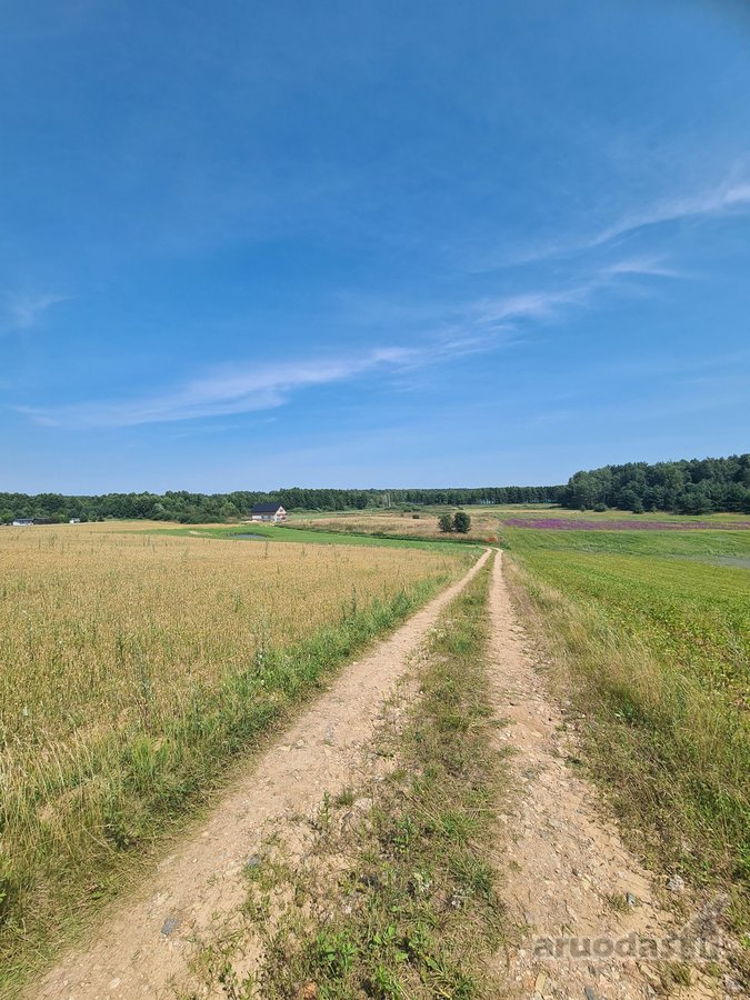 Parduodamas 2,66 ha sklypas prie Lieluko - nuotraukos Nr. 10
