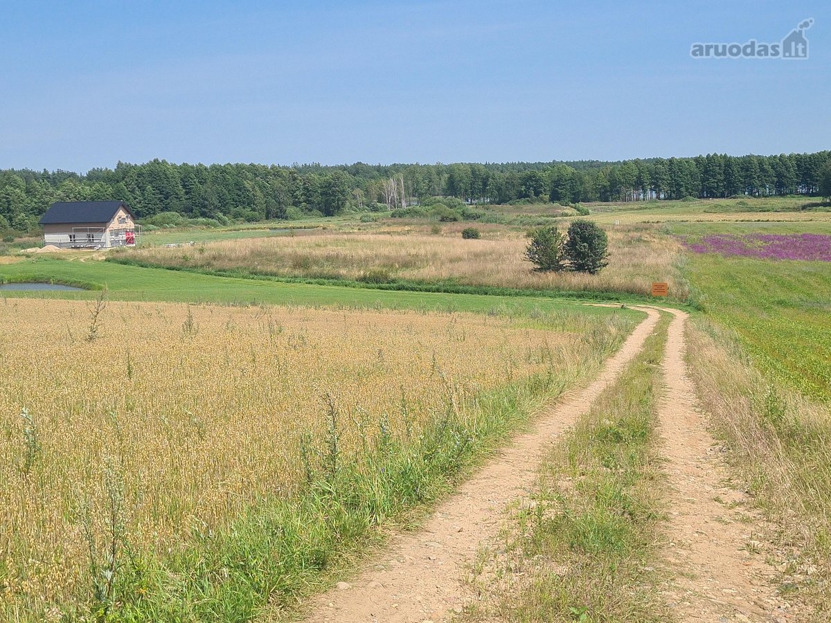 Parduodamas 2,66 ha sklypas prie Lieluko - nuotraukos Nr. 11