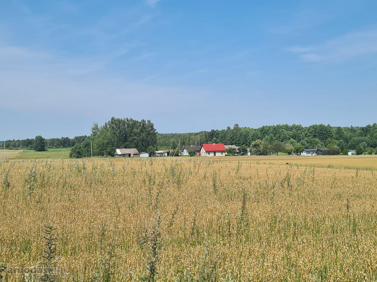 Parduodamas 2,66 ha sklypas prie Lieluko - nuotraukos Nr. 12