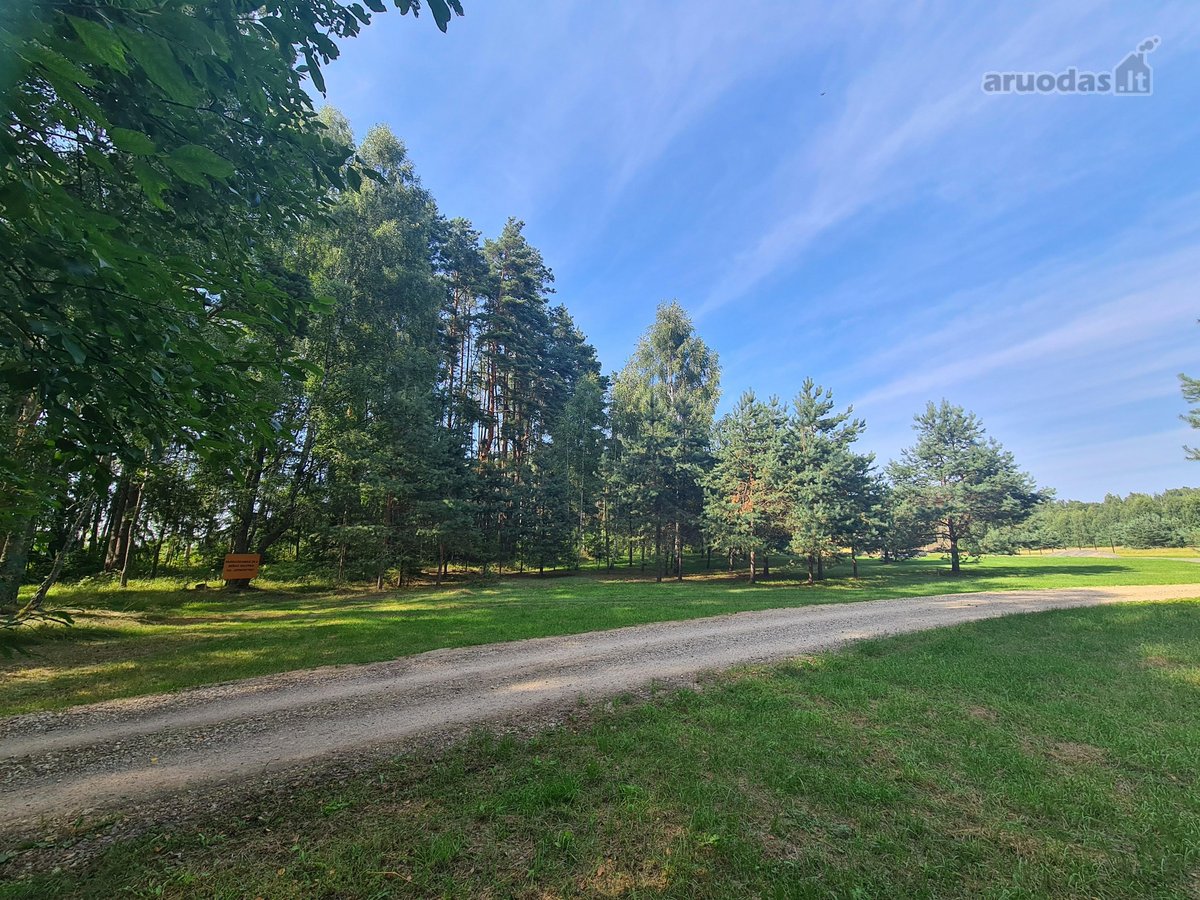 Parduodamas puikus miško sklypas Vilniaus r. - nuotraukos Nr. 7