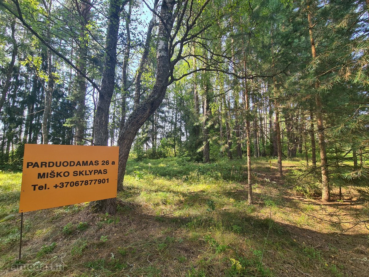 Parduodamas puikus miško sklypas Vilniaus r. - nuotraukos Nr. 6