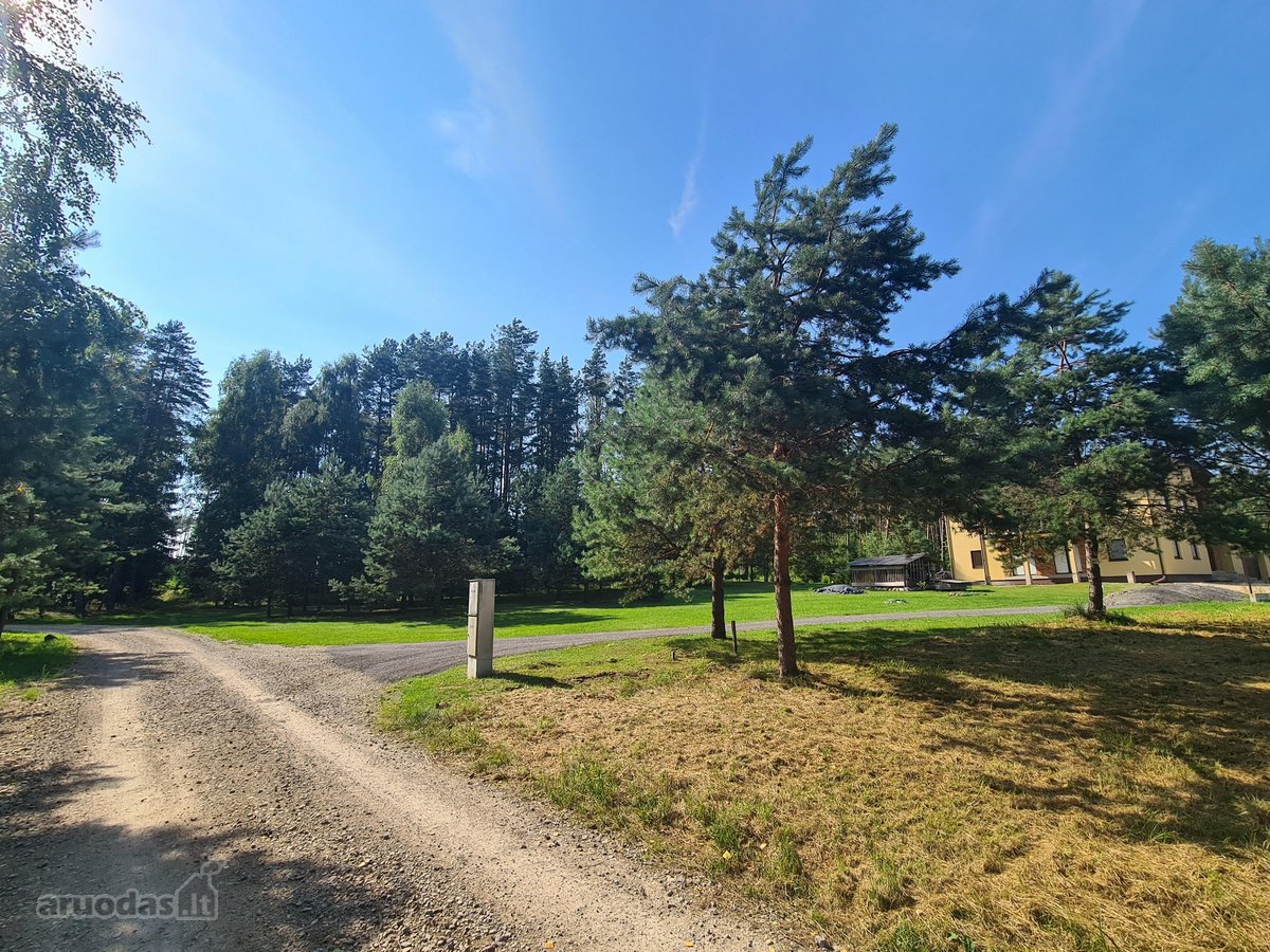 Parduodamas puikus miško sklypas Vilniaus r. - nuotraukos Nr. 10