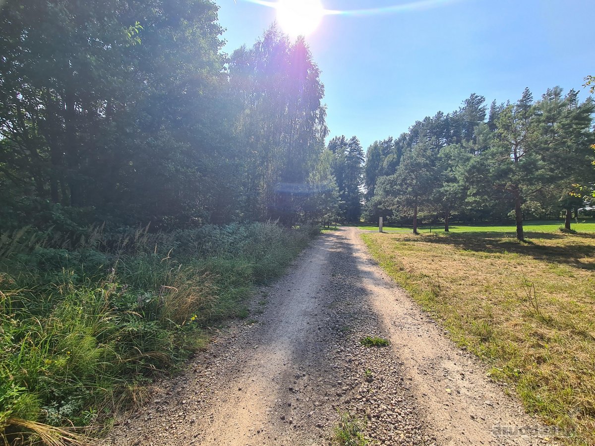Parduodamas puikus miško sklypas Vilniaus r. - nuotraukos Nr. 11