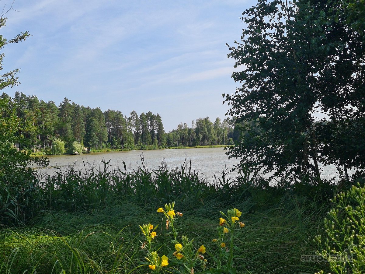 Parduodamas puikus miško sklypas Vilniaus r. - nuotraukos Nr. 4