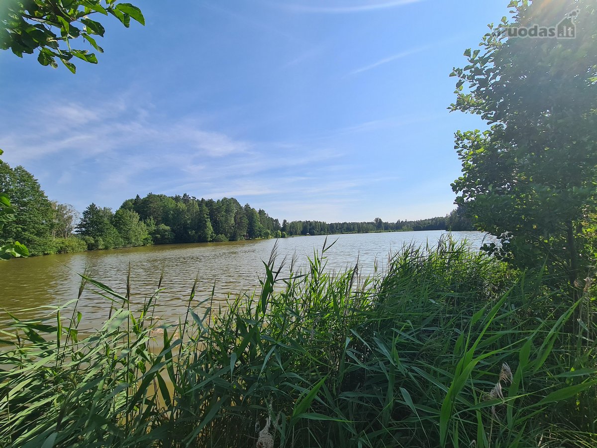 Parduodamas puikus miško sklypas Vilniaus r. - nuotraukos Nr. 5