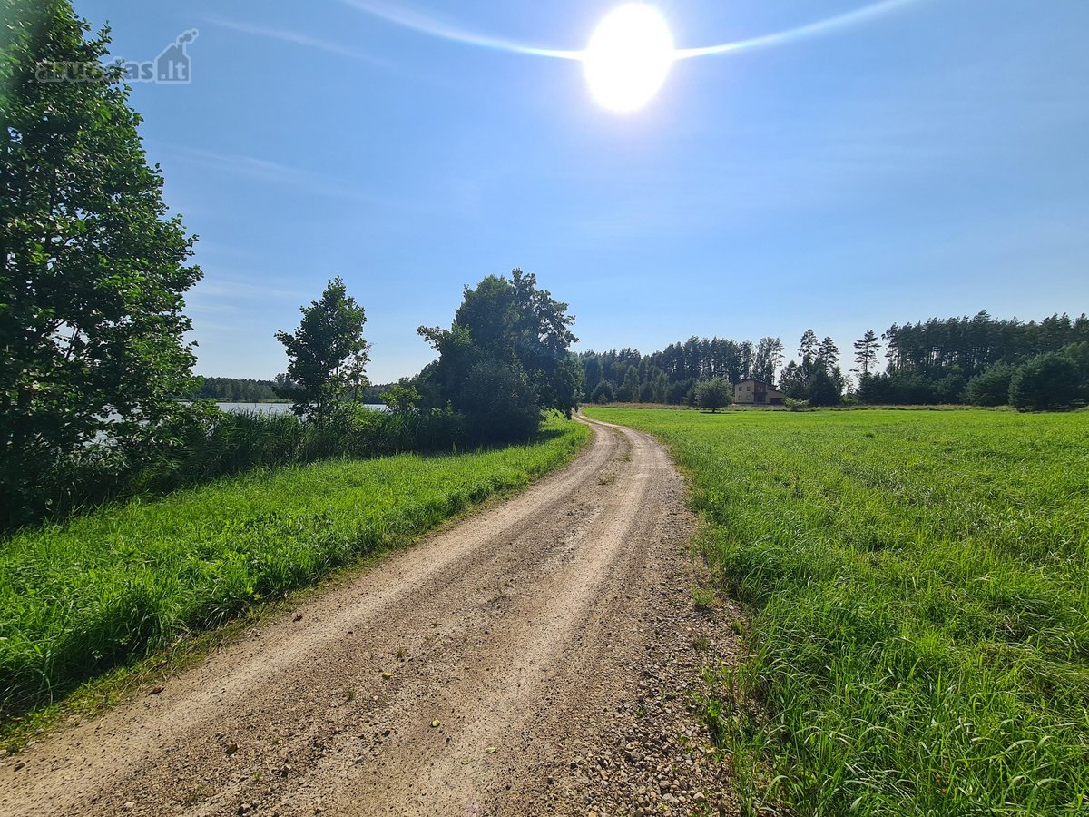 Parduodamas puikus miško sklypas Vilniaus r. - nuotraukos Nr. 12