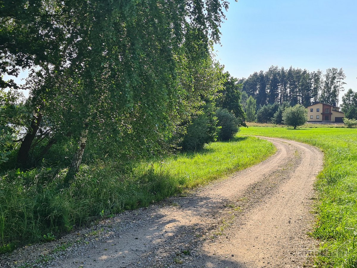 Parduodamas puikus miško sklypas Vilniaus r. - nuotraukos Nr. 13