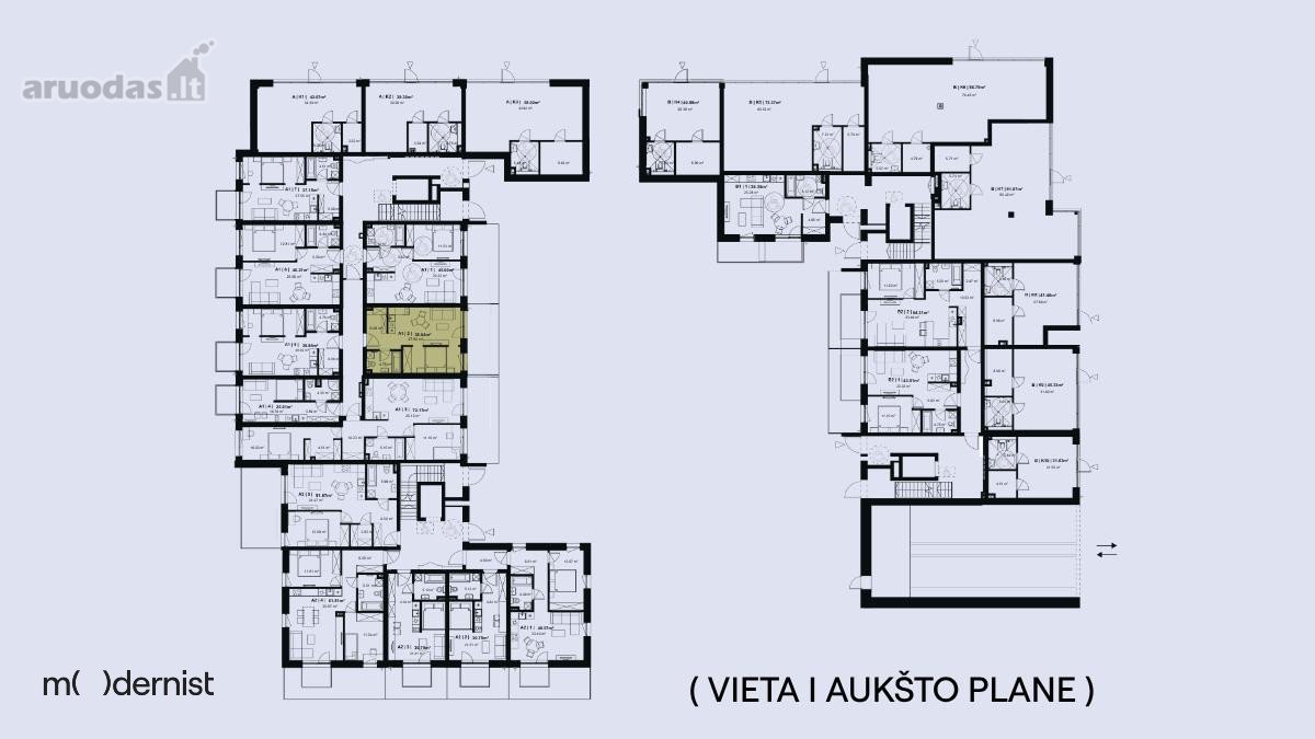 Modernist ( Užpildyk Erdvę Gyvenimu ) - nuotraukos Nr. 2
