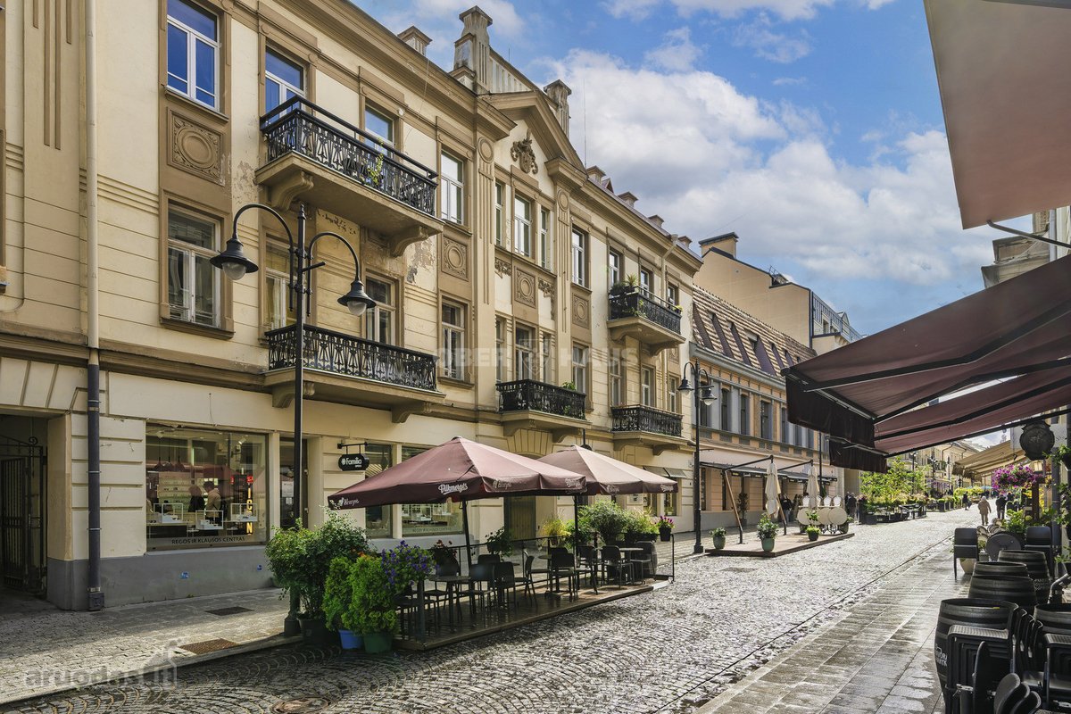 Išskirtinis 3 Kambarių Butas Vilniaus - nuotraukos Nr. 29