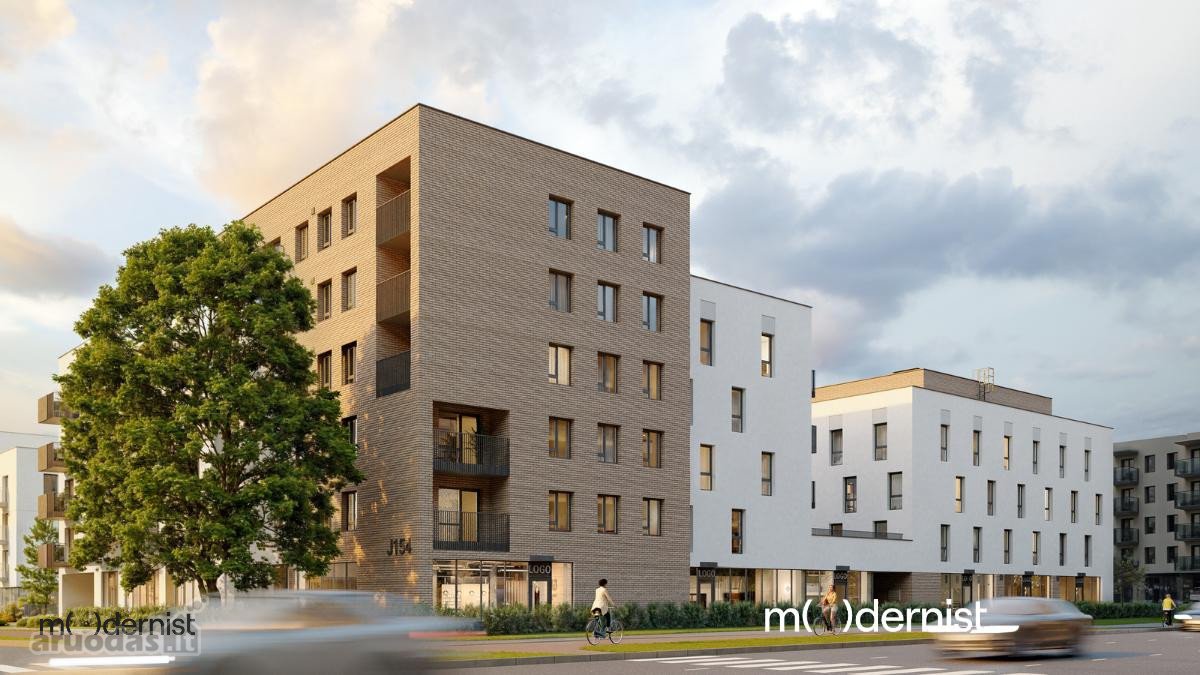 Modernist ( Užpildyk Erdvę Gyvenimu ) - nuotraukos Nr. 7
