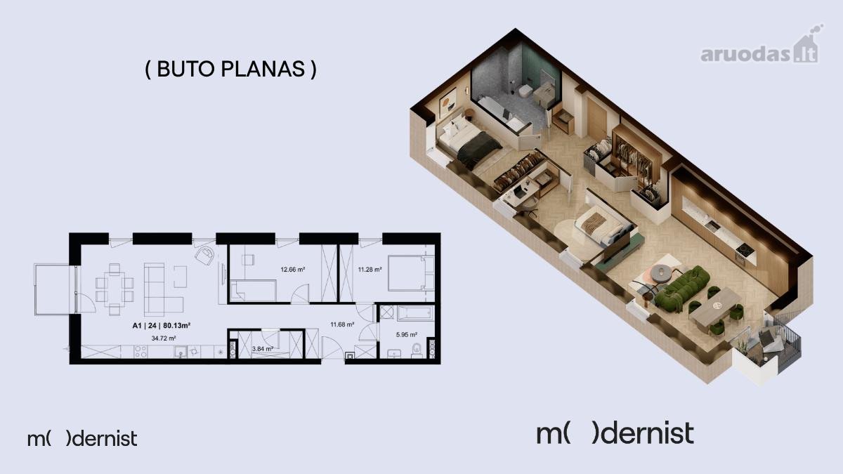 Modernist ( Užpildyk Erdvę Gyvenimu ) - nuotraukos Nr. 3