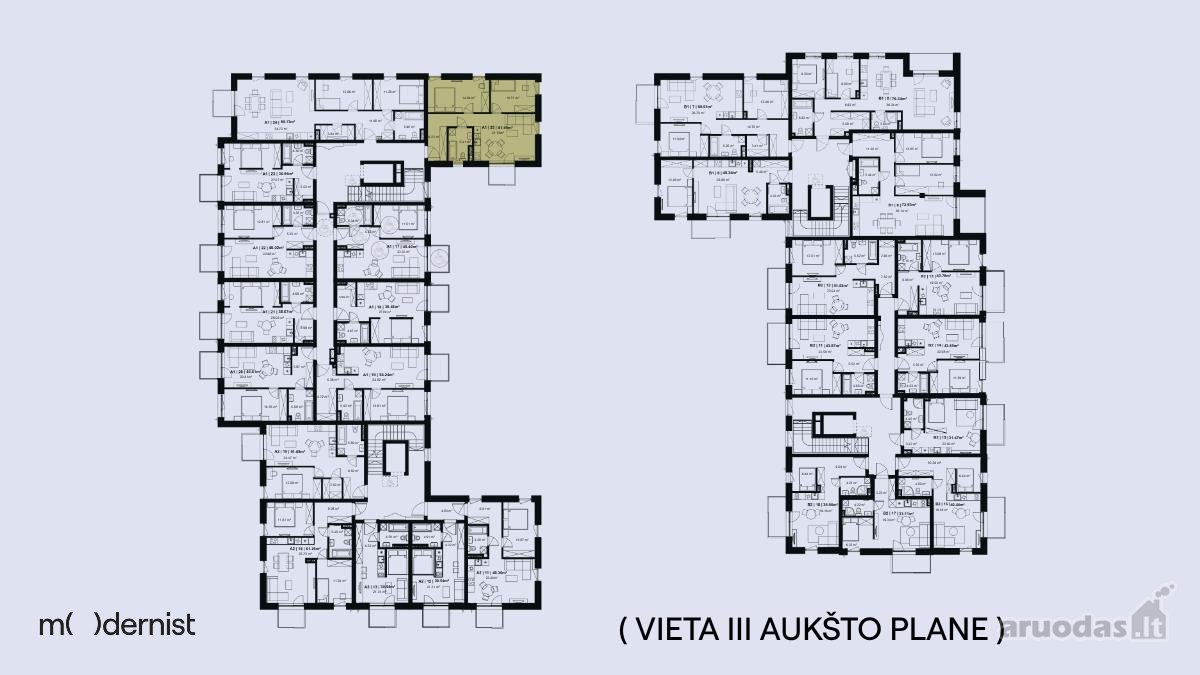 Modernist ( Užpildyk Erdvę Gyvenimu ) - nuotraukos Nr. 2