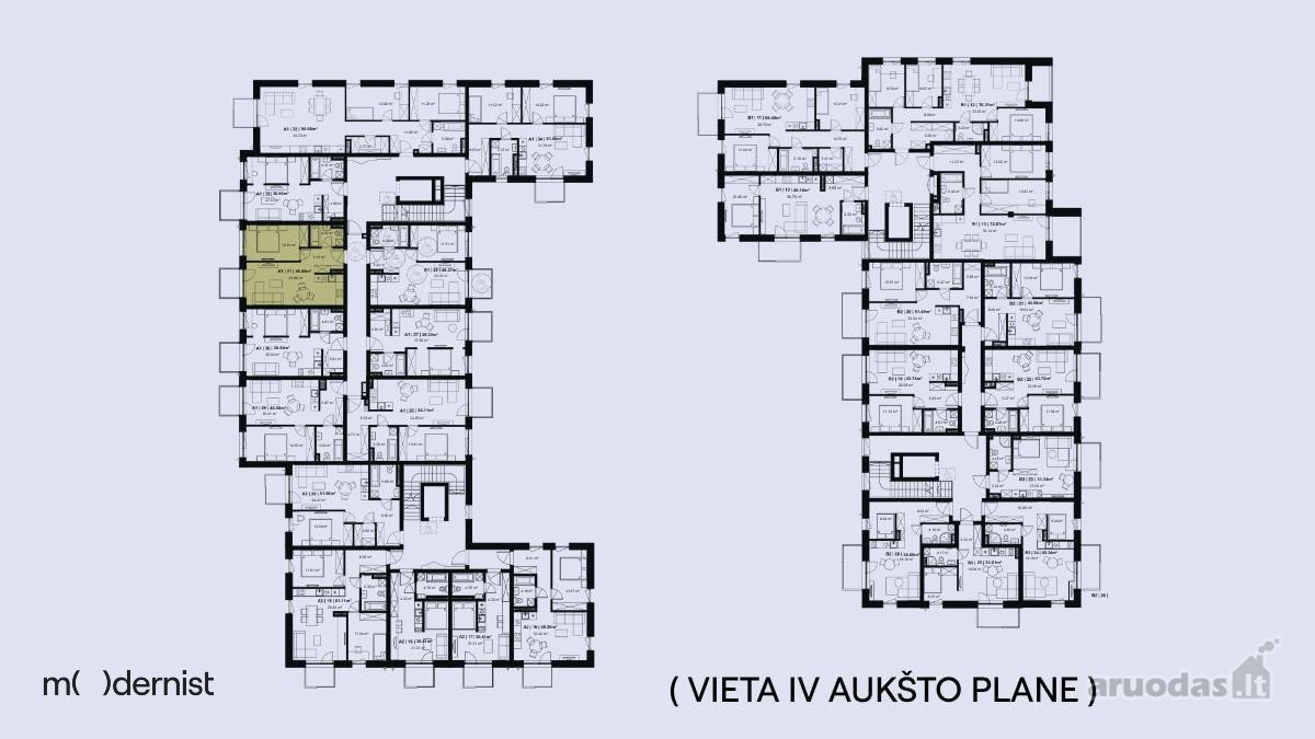 Modernist ( Užpildyk Erdvę Gyvenimu ) - nuotraukos Nr. 3