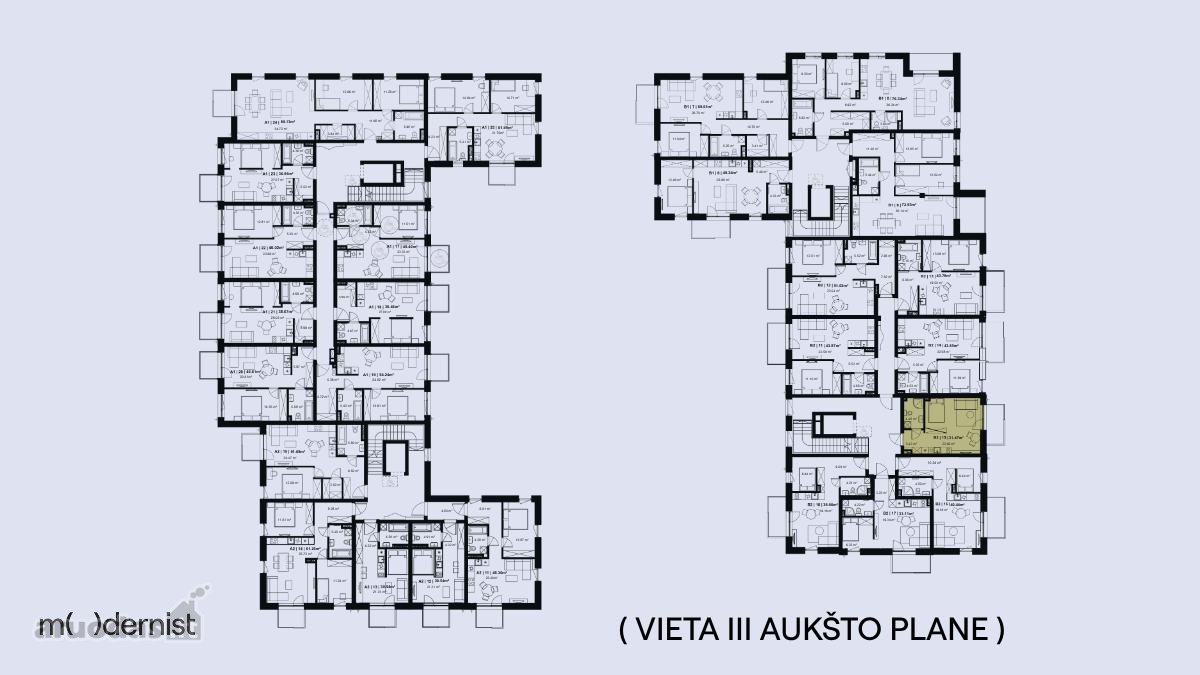 Modernist ( Užpildyk Erdvę Gyvenimu ) - nuotraukos Nr. 3