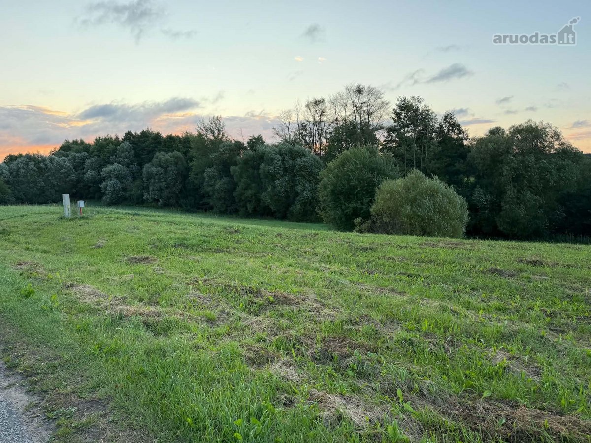 Parduodamas sklypas, 25 arai. Sklypas - nuotraukos Nr. 2