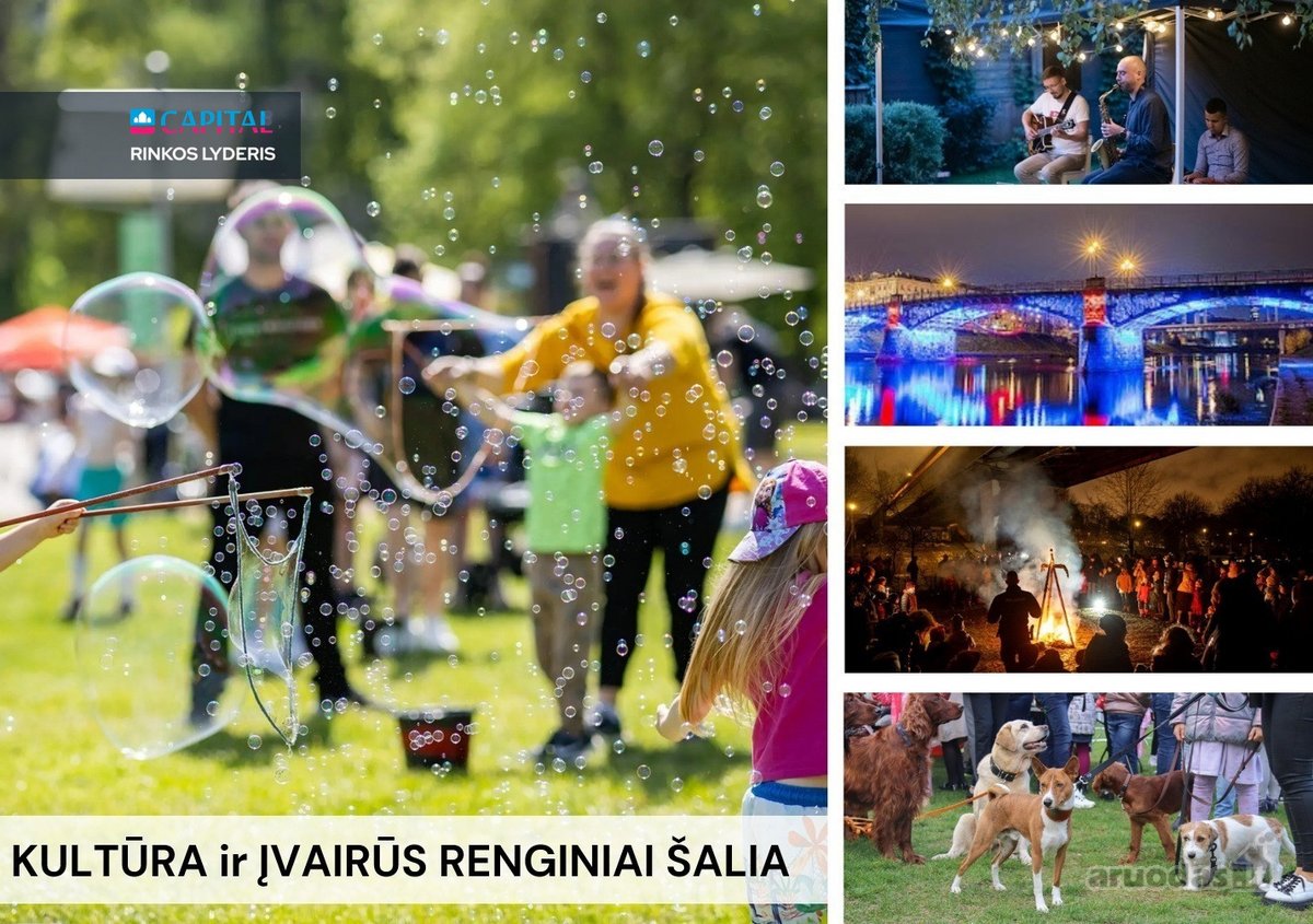 Parduodamas kokybiškai įrengtas butas su - nuotraukos Nr. 35
