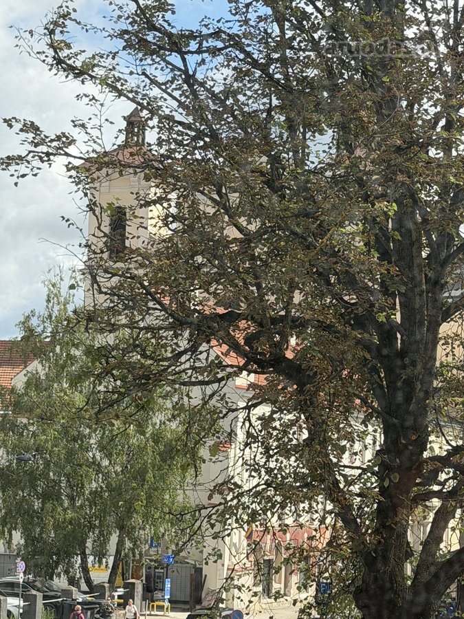 Parduodamas 4 Kamb. Butas Pačioje Senamiesčio - nuotraukos Nr. 19