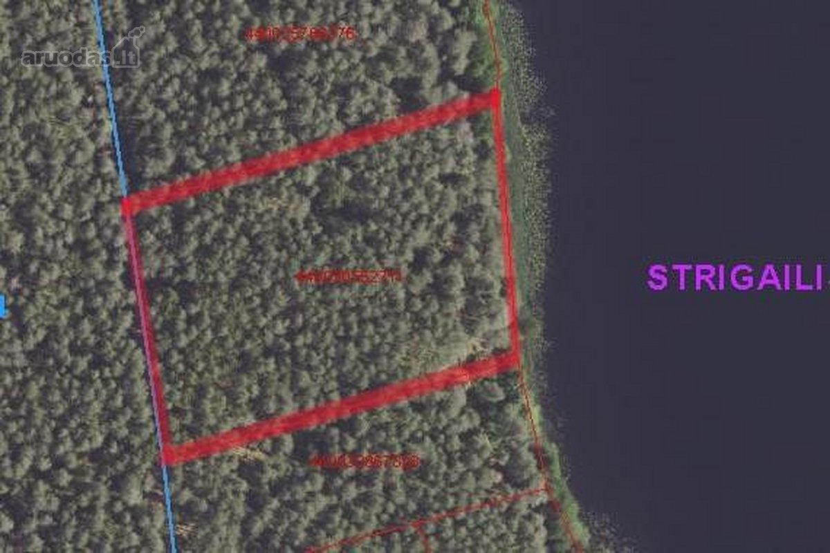 Parduodamas 1,27 ha ploto miško paskirties - nuotraukos Nr. 5