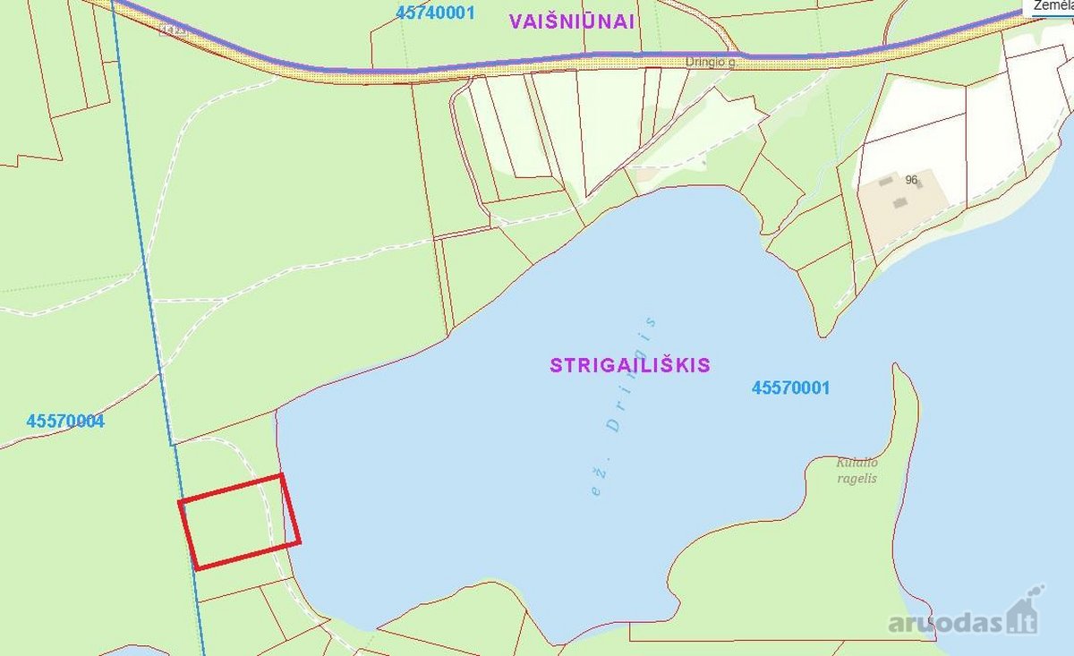 Parduodamas 1,27 ha ploto miško paskirties - nuotraukos Nr. 6