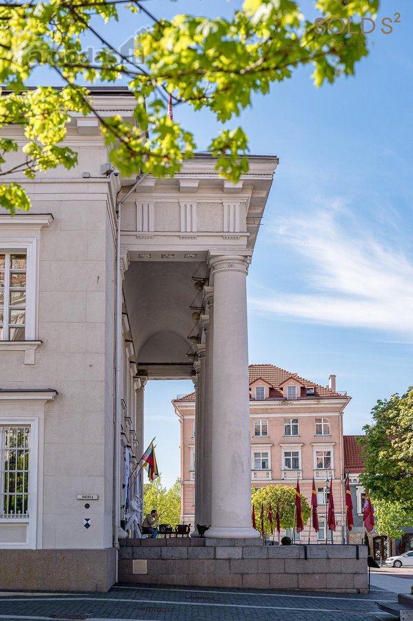 Ramiame ir privačiame J. Basanavičiaus gatvės - nuotraukos Nr. 23