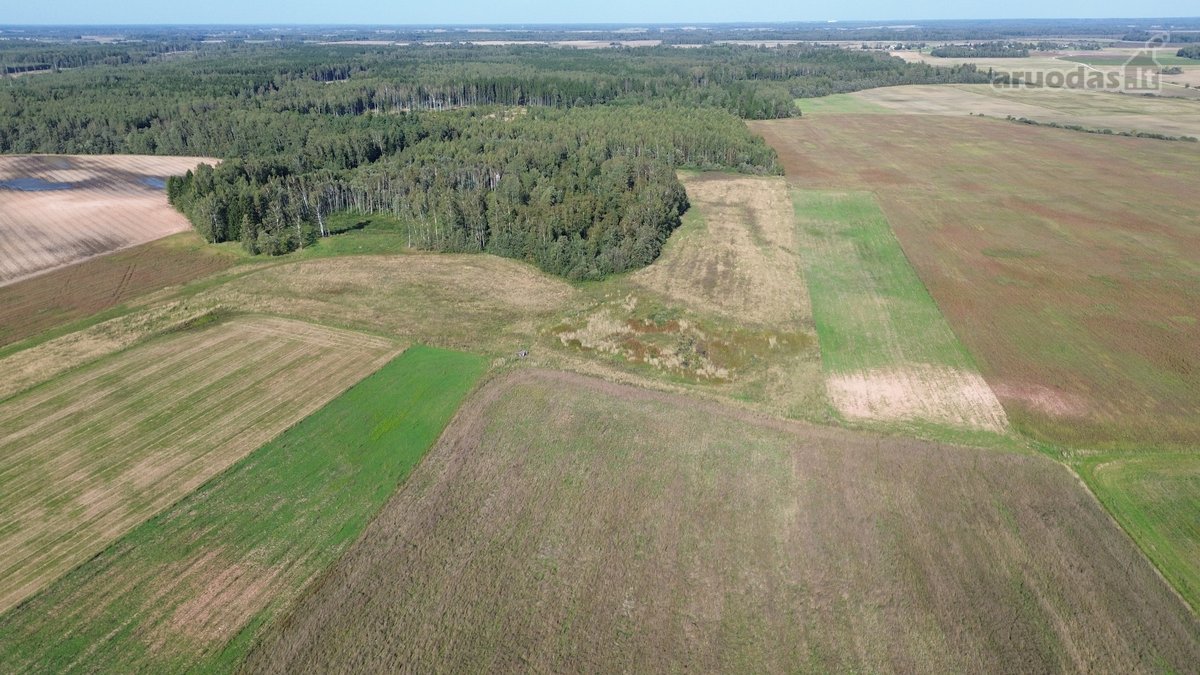 Parduodami Žemės Ūkio Paskirties Sklypai - nuotraukos Nr. 11