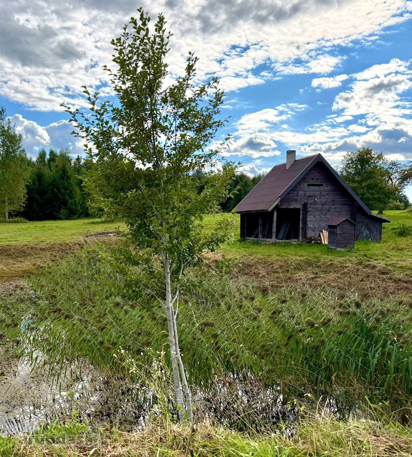 Išskirtinė Autentiška Sodyba Vienkiemyje – - nuotraukos Nr. 16