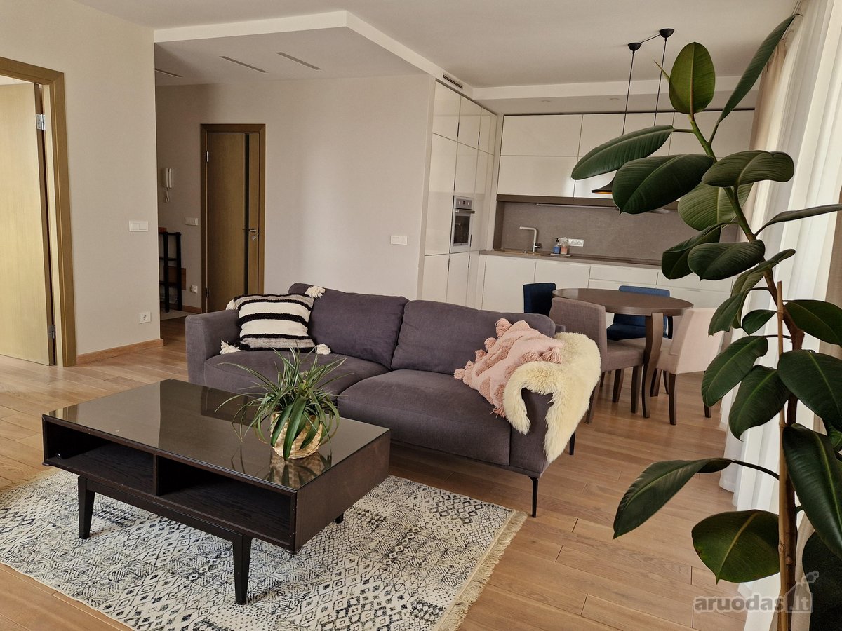 Išnuomojamas erdvus ir labai šviesus 2 - nuotraukos Nr. 6