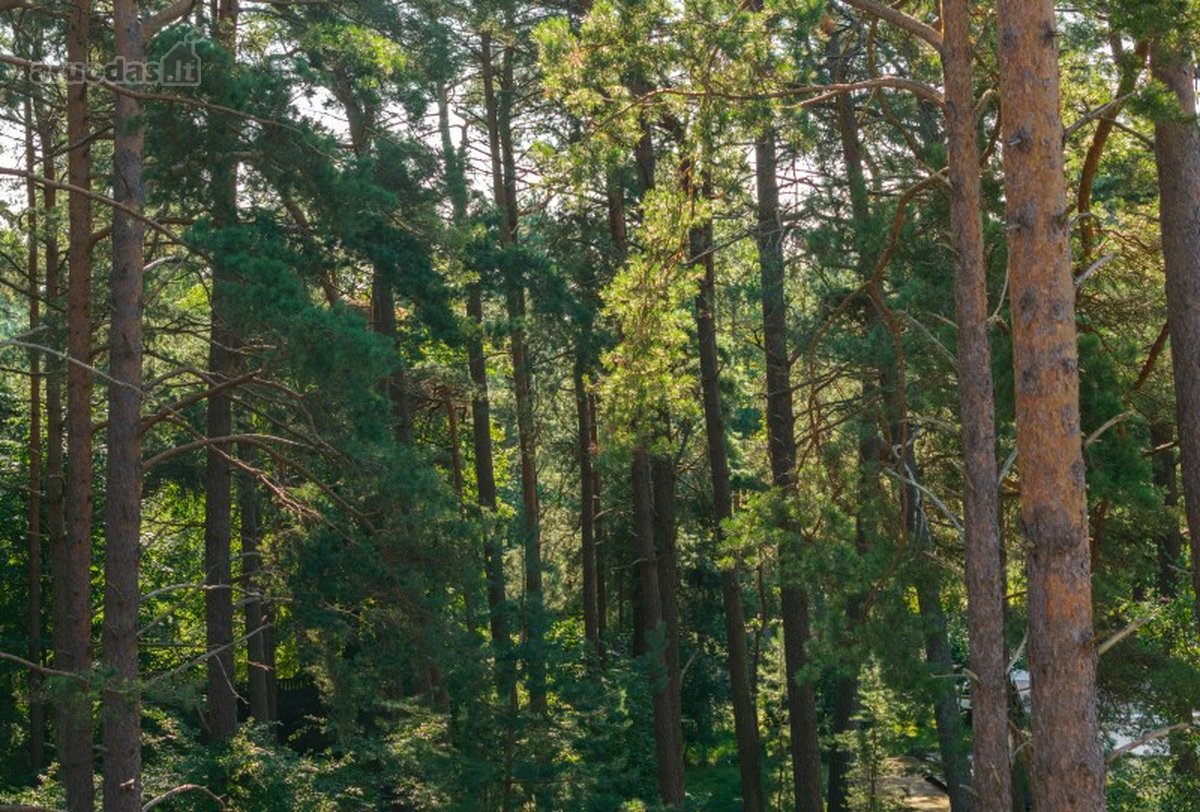 Prestižiniame Girulių kvartale Parduodamas - nuotraukos Nr. 8