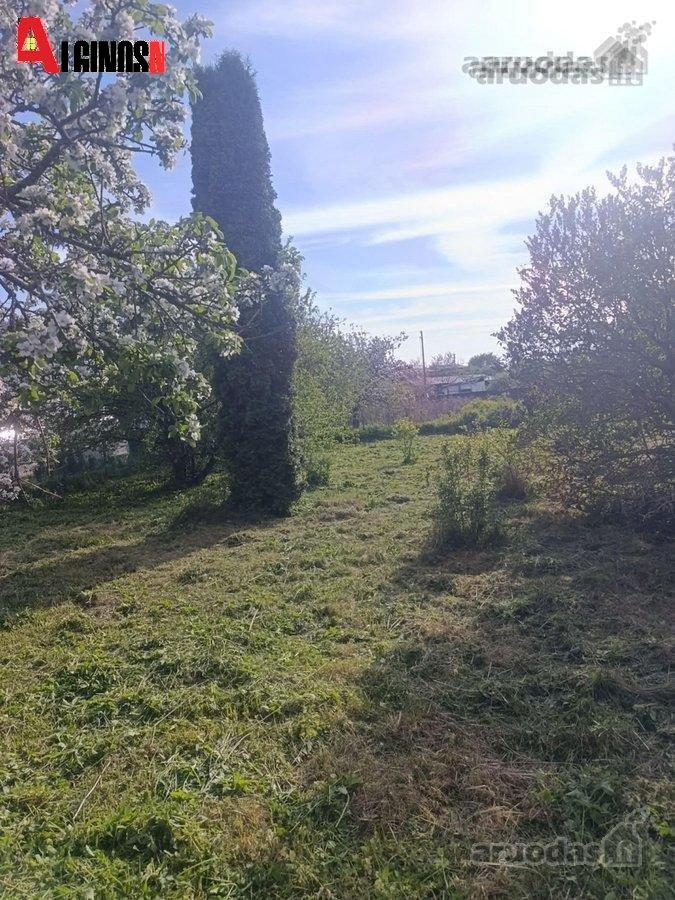 Dercekliuose Molo g. parduodamas 6 arų sodo - nuotraukos Nr. 2