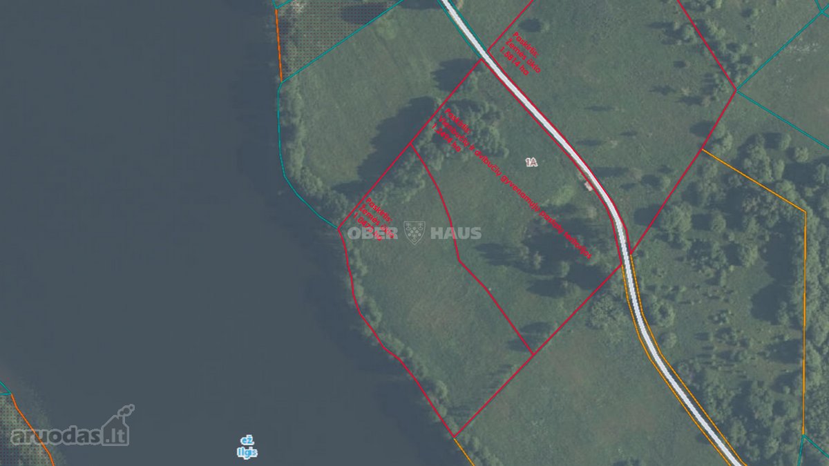 Parduodami trys besiribojantys, bendro 3,8781 - nuotraukos Nr. 19