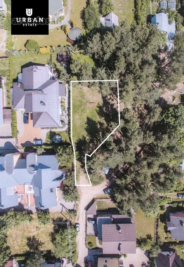 5.93 Arų Sklypas Su Brandžiomis Pušimis - nuotraukos Nr. 2