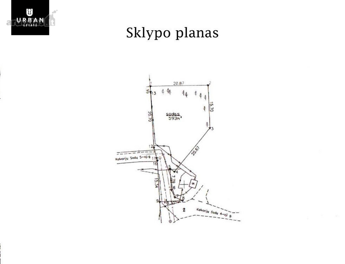 5.93 Arų Sklypas Su Brandžiomis Pušimis - nuotraukos Nr. 4