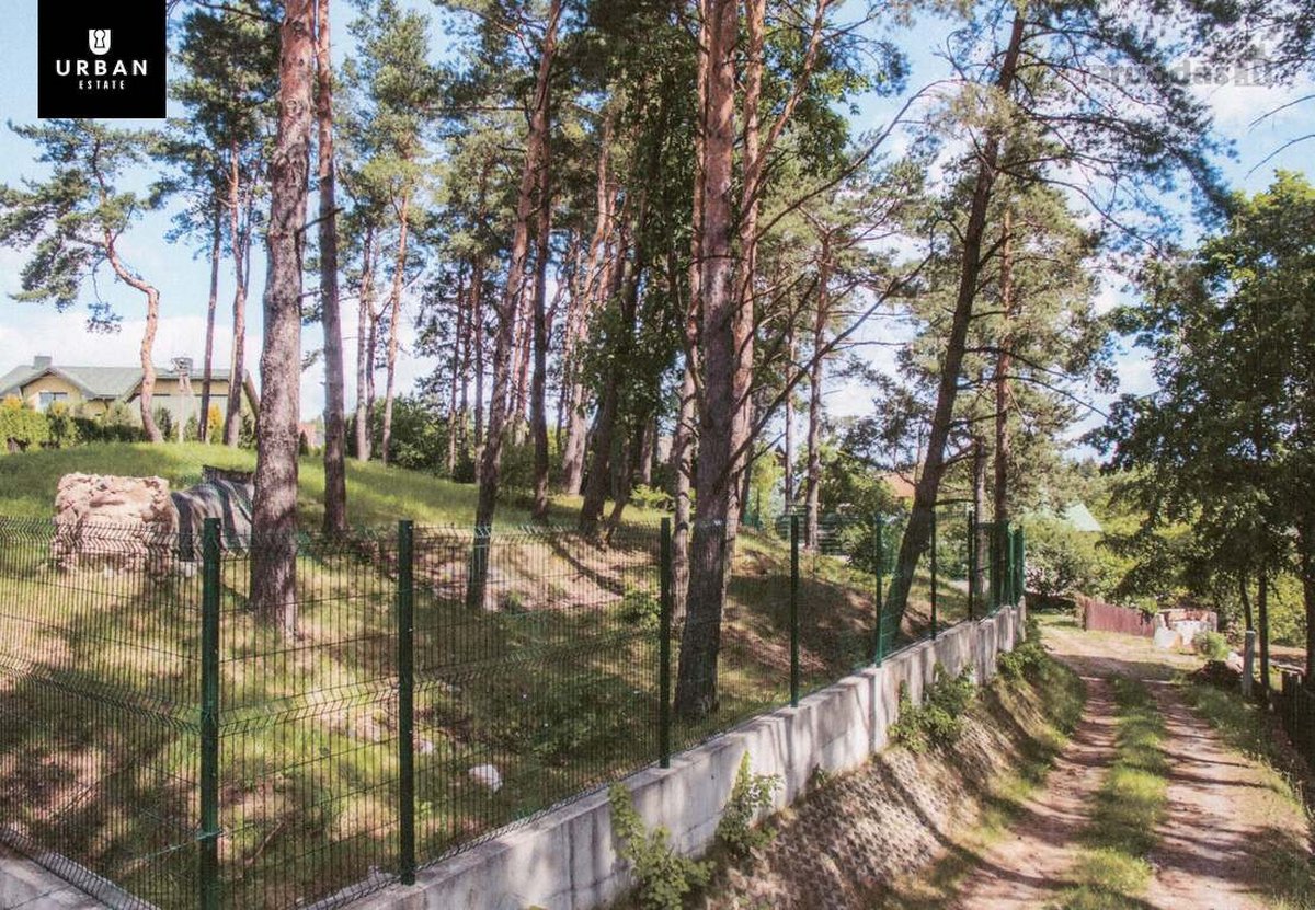5.93 Arų Sklypas Su Brandžiomis Pušimis - nuotraukos Nr. 5