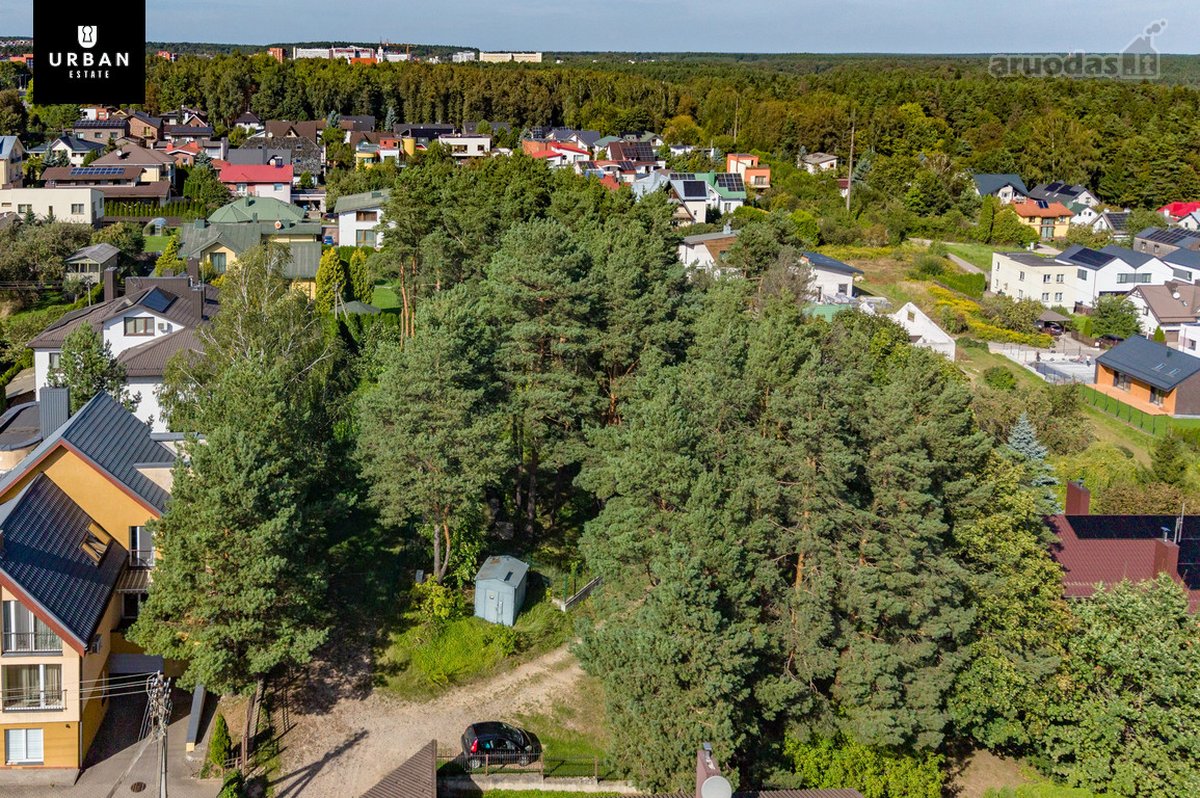 5.93 Arų Sklypas Su Brandžiomis Pušimis - nuotraukos Nr. 6